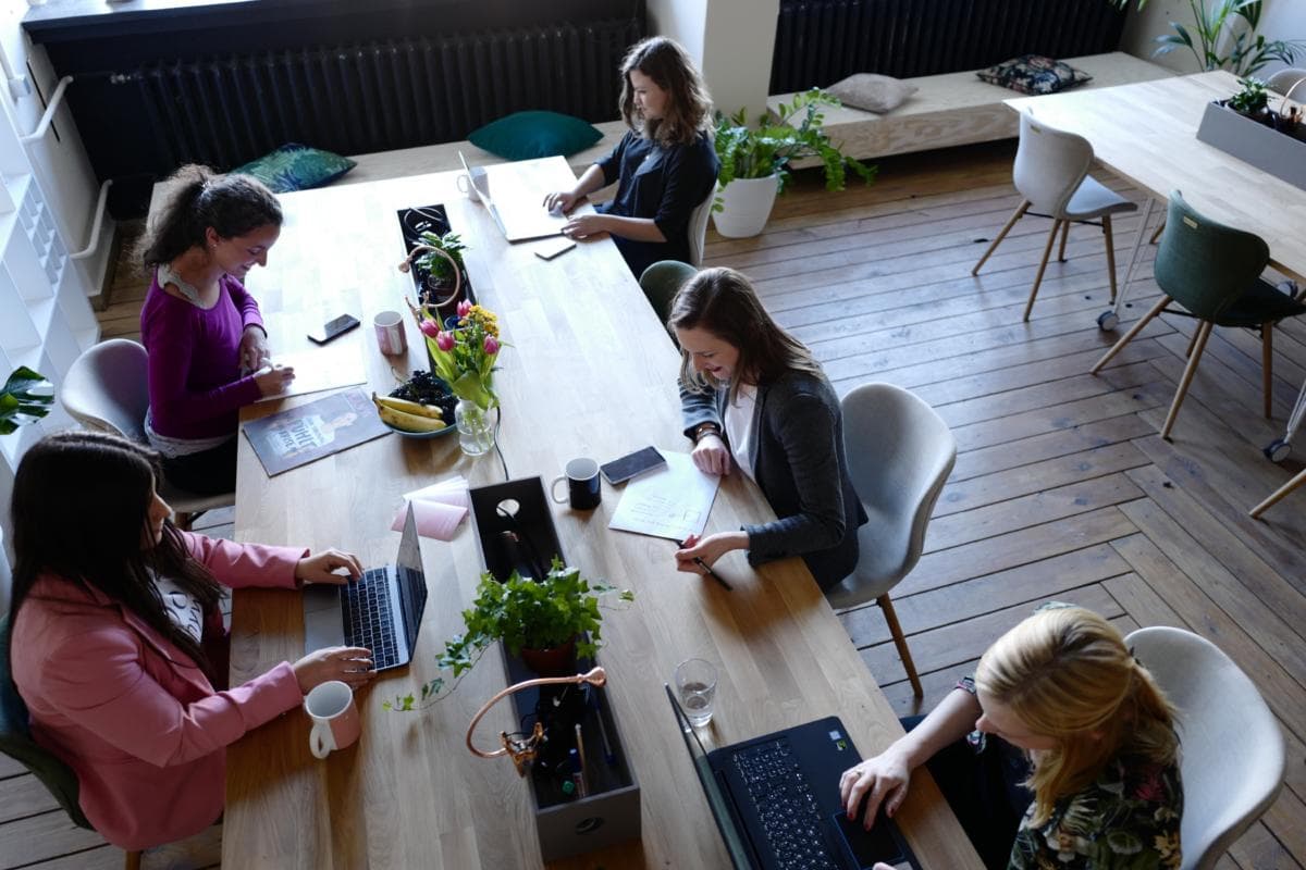 Statement of Work Clauses US Businesses Should Understand