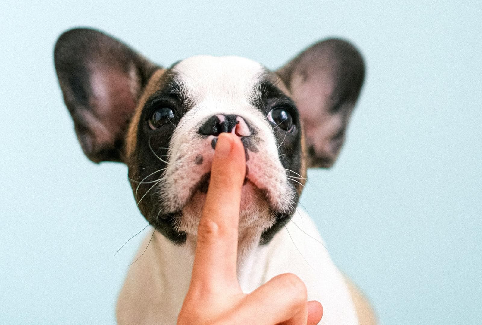 NDA vs Confidentiality Agreement: Are They The Same In The US?