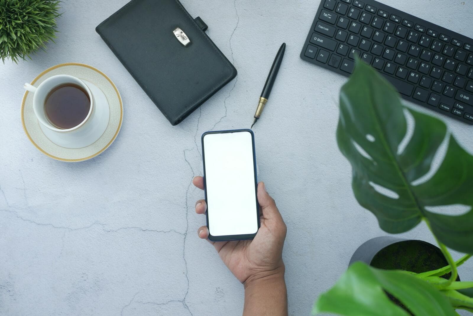 Booking Terms Of Service: Practical Terms For US Digital Businesses