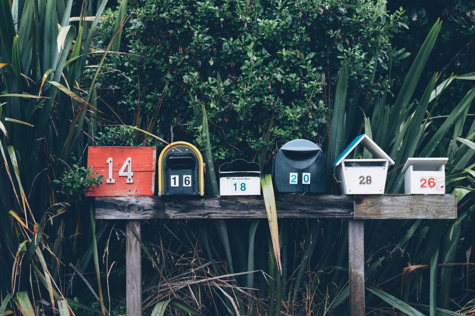 Single Member LLC Operating Agreement: What Founders Should Put In Writing Early